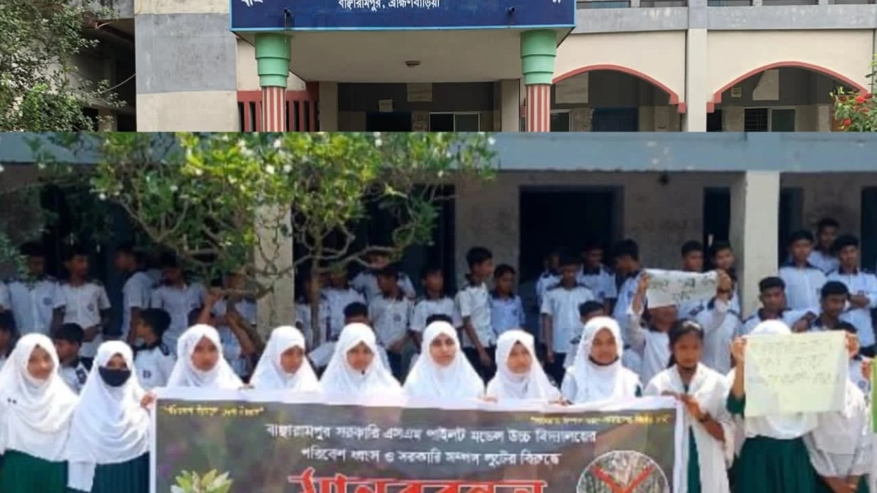 ঈদের ছুটিতে এস এম পাইলট উচ্চ বিদ্যালয়ের গাছ চুরি করে নিয়েগেছে দুর্বৃত্তরা