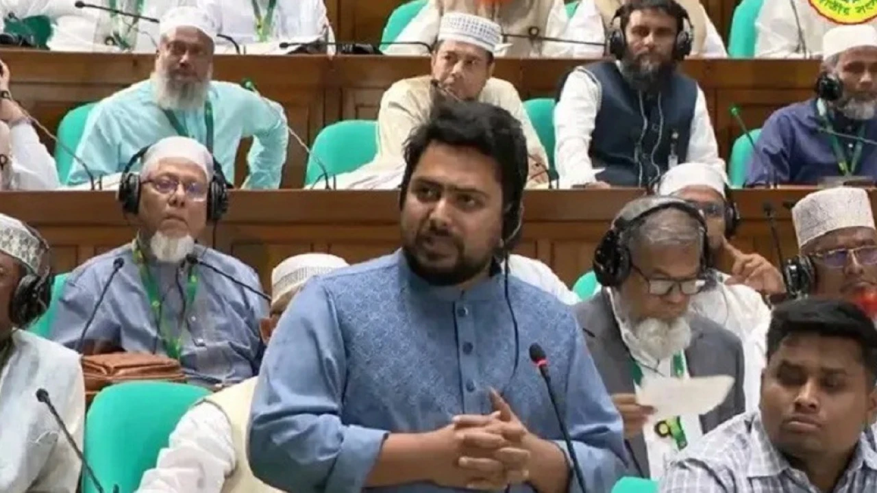 সংসদের কার্যক্রম দেখলে মনে হচ্ছে গণভোট হয়নি : নাহিদ