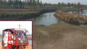 টেকনাফের হোয়াইক্যং সীমান্তে ‘নতুন বন্দর’! কাঁকড়া আমদানিতে সিন্ডিকেটের দৌরাত্ম্য