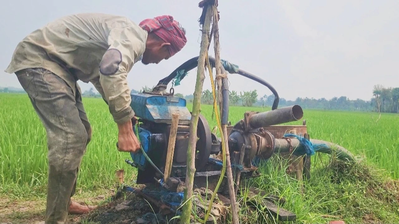 লক্ষ্মীপুরে জ্বালানি সংকটে সেচ দিতে না পেরে দিশেহারা কৃষক