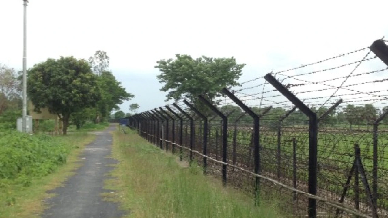 হালুয়াঘাট সীমান্তে , বিএসএফের মারধরে গুরুতর আহত ১
