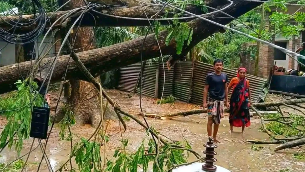 মণিরামপুরে কালবৈশাখীর তাণ্ডব: পারখাজুরায় গাছ উপড়ে বিদ্যুৎ লাইন ধ্বংস, অন্ধকারে গ্রাম