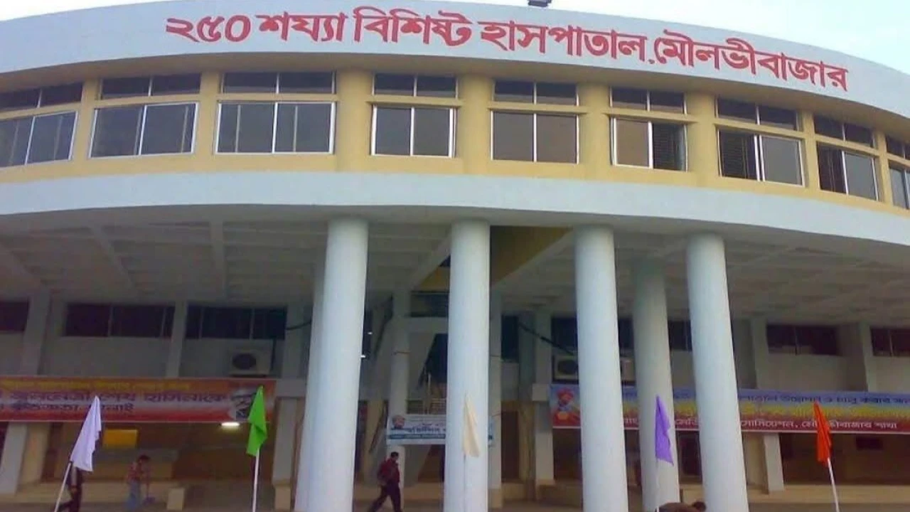 মৌলভীবাজার সদর হাসপাতালে নার্সের উপর হামলায়-২জন আহত