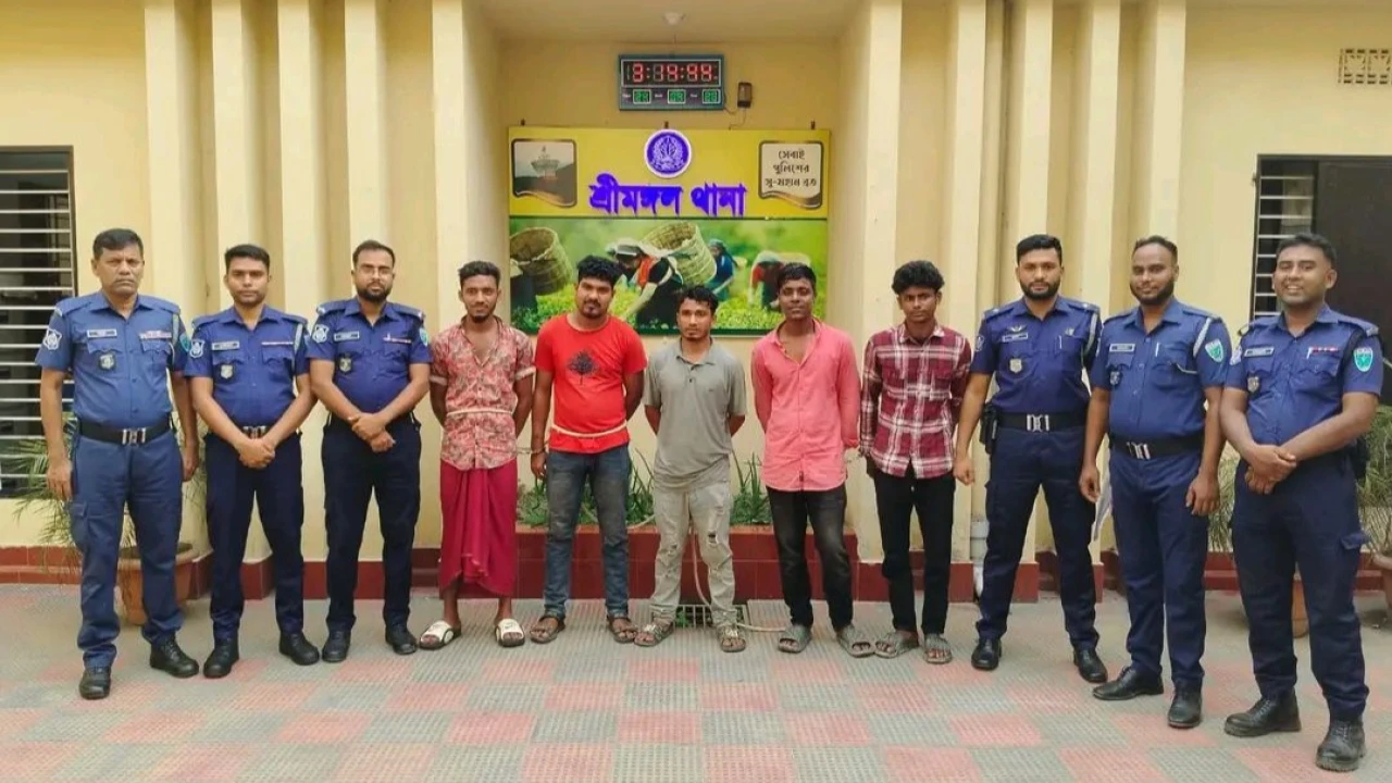 শ্রীমঙ্গলে আলোচিত শাপলাবাগ এর ঘটনার শীর্ষ সন্ত্রাসী রুয়েলসহ ৫জন গ্রেপ্তার