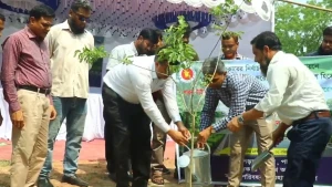 পাবনায় বৃক্ষরোপণ কর্মসূচির উদ্বোধন