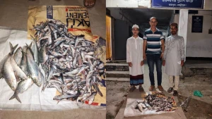 রায়পুরে মৎস্য অভিযানে জব্দ মাছ এতিমখানায় বিতরণ