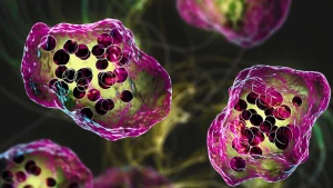 হামে আরও ৭ মৃত্যু, হাসপাতালে ভর্তি ১১৮৭ রোগী