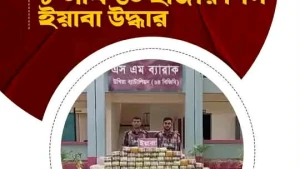 উখিয়ায় বিজিবির অভিযানে ইতিহাসের রেকর্ড ইয়াবার চালান জব্দ