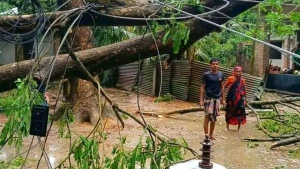 মণিরামপুরে কালবৈশাখীর তাণ্ডব: পারখাজুরায় গাছ উপড়ে বিদ্যুৎ লাইন ধ্বংস, অন্ধকারে গ্রাম