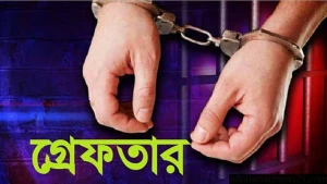 বাঘায় অটোরিকশার চোর গ্রেফতার