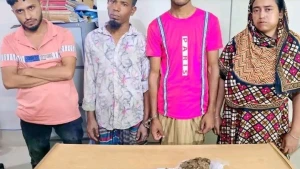 বাউফলে নারী'সহ ৪ মাদক কারবারি আটক; গাঁজা-ইয়াবা উদ্ধার