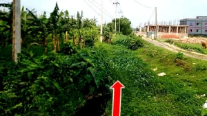 অস্তিত্ব সংকটে  হবিগঞ্জের ঐতিহাসিক জিয়ার খাল