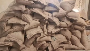 গফরগাঁওয়ে সরকারি ভিজিডি চাল জব্দ আটক ১